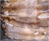 Belgium Raw Air Dried Red Fox Skins