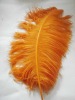 Big Ostrich feather, Ostrich feather trimming, colorful Ostrich feather, grizzly rooster feathers