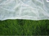 Bio-green PP Nonwoven Plant Cover