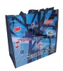 Biodegradable Bag