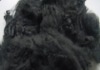 Black polyester fiber