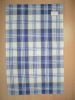 Blue and White Chequered Plain Weave Kitchen Towel