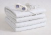 Brand Electric Blanket
