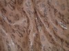 Bronzing suede fabric for garment &jacket