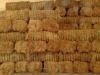 Bulk Coconut Fiber