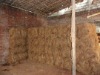 Bulk coir fiber