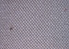 C-33 Silver mesh fabric