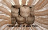 CB quality Jute Yarn