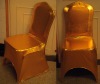 CHAIR COVER