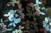 CHIFFON FABRIC WITH HOLOGRAM (KOREA)