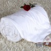 CN plain warm mulberry silk comforter