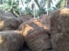 COCONUT FIBER