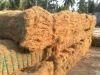 COIR FIBER