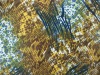 COTTON SATIN PRINTED