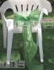 CS0007 Tropic green organza chair sash