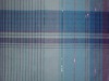 CVC Yarn Dyed Check Textile Fabric