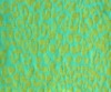 CVC burnout printed fabric