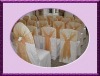 Chair Cover