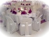 Chair Cover