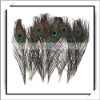 Cheap! 10pcs Decoration Natural Peacock Feather