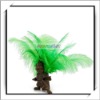 Cheap! 10pcs Light Green Ostrich Feathers For Decoration