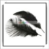 Cheap! 10pcs Ostrich Feathers Black