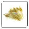 Cheap! 10pcs Yellow Peacock Feather For House Decoration