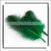 Cheap! 50pcs Green Chicken Feather For Decoration