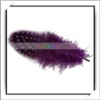 Cheap! 50pcs Purple Chicken Feather For Sale