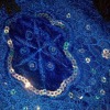 Chemical Embroidery Fabric with applic velvet