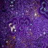 Chemical Embroidery Fabric with velvet applic