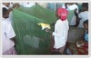 Chemical Treated Mosquito Nets LLINs/ITNs Deltamethrin/Prmethrin Pretreated Nets