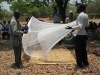 Chemically Treated Mosquito Nets LLINs/ITNs Deltamethrin/Permethrin Pretreated Nets