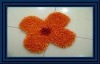 Chenille floral pattern rugs