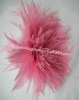 Chicken feather