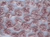 Chiffon Ribbon Embroidery Fabric on mesh