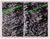 Chiffon ribbon embroidered Fabric with foil