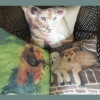 Children love animal cushion