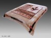 China well-known mark 100%polyester blanket