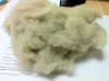 Chinese brown cashmere sheep wool