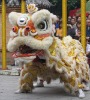 Chinese dance  lion