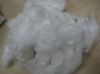 Chinese exports of short polyester fiber white 1.5d