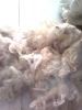 Chinese raw wool