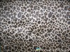 Classic Leopard Printed Pattern