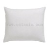 Classic Small white Mulberry Silk Pillow