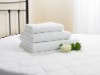 Clasy Hotel Towel