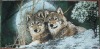 Clearer and sharper images embroidery tapestry wall hangings