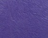 Coated Carpet