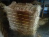 Coconut Fiber