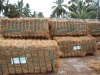 Coconut Fiber